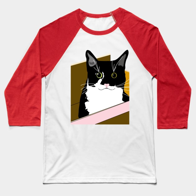 Cat in a box Cute Tuxedo Cat I can fit Copyright by TeAnne Baseball T-Shirt by TeAnne